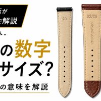 時計ベルト裏の数字とサイズ表記の見方を解説するアイキャッチ画像